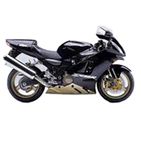 Billige 2000-2001 Kawasaki ZX12R Verkleidungen