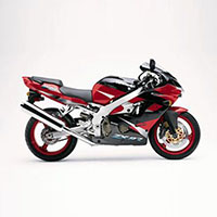 Billige 2000-2001 Kawasaki ZX9R Verkleidungen
