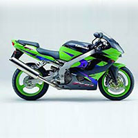 Billige 2002-2003 Kawasaki ZX9R Verkleidungen