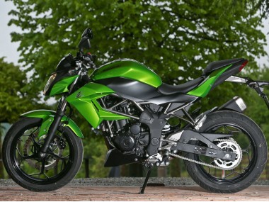 Billige Grün Matt Schwarz 2015-2016 Kawasaki Z250/Z300 Motorrad Verkleidung