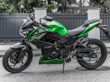 Billige Grün Matt Schwarz 2015-2016 Kawasaki Z250/Z300 Motorrad Verkleidung Kit