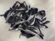 Billige Glänzendes Schwarz Carbonfaser 2023-2024 BMW S1000RR Motorrad Verkleidung