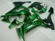 Billige Grüne Flamme ZX10R 2008-2010 Motorrad Verkleidungen Billige Grüne Flamme ZX10R 2008-2010 Motorrad Verkleidungen